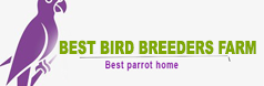 Best Bird Breeders farm - marvelous birds